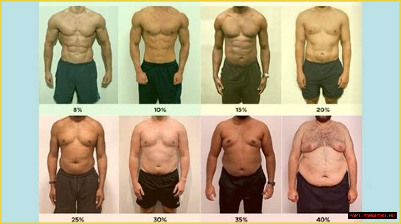 A Comprehensive Analysis Of Her Body Fat Percentage