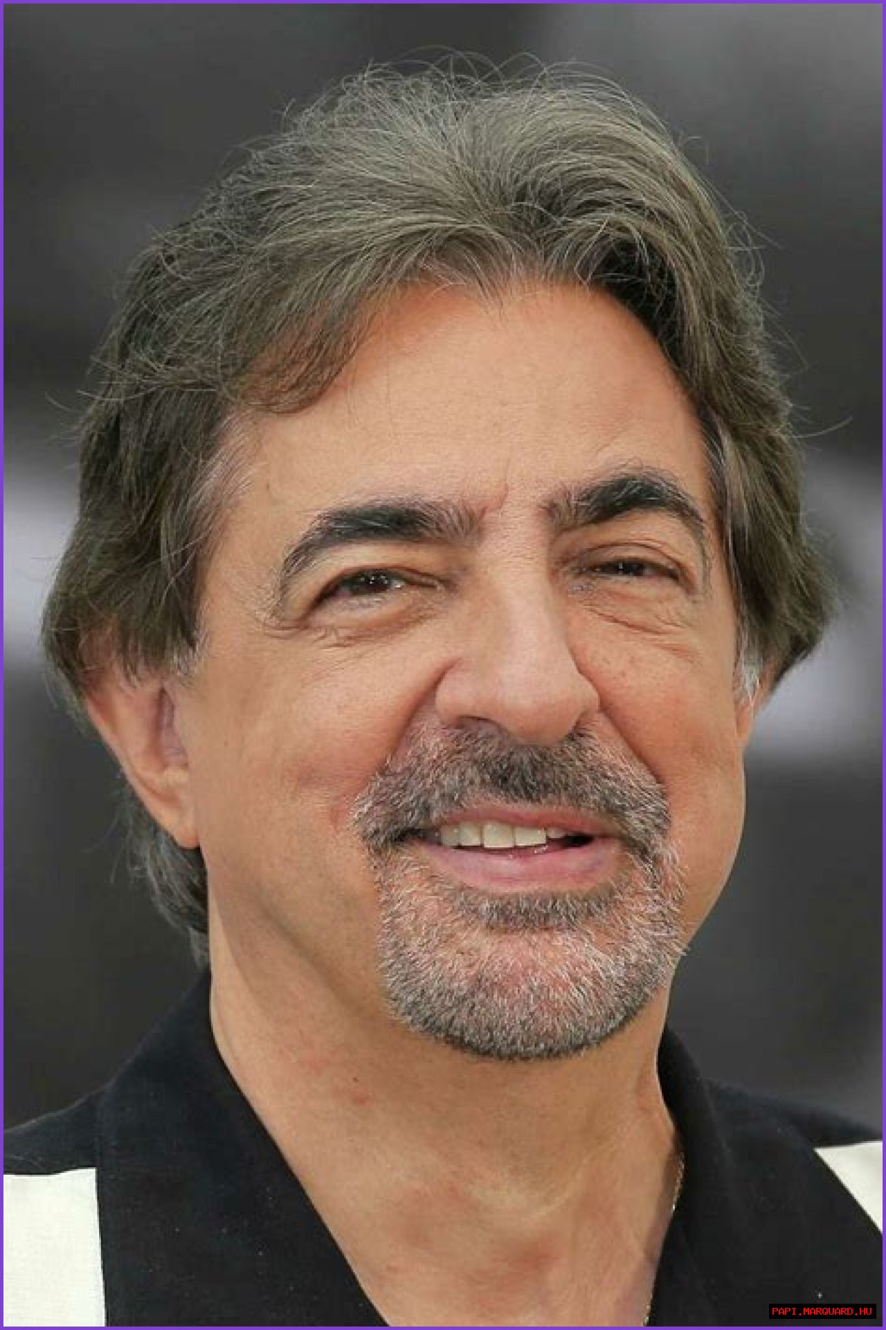 Joe Mantegna's Health: A Journey Of Recovery And Resilience