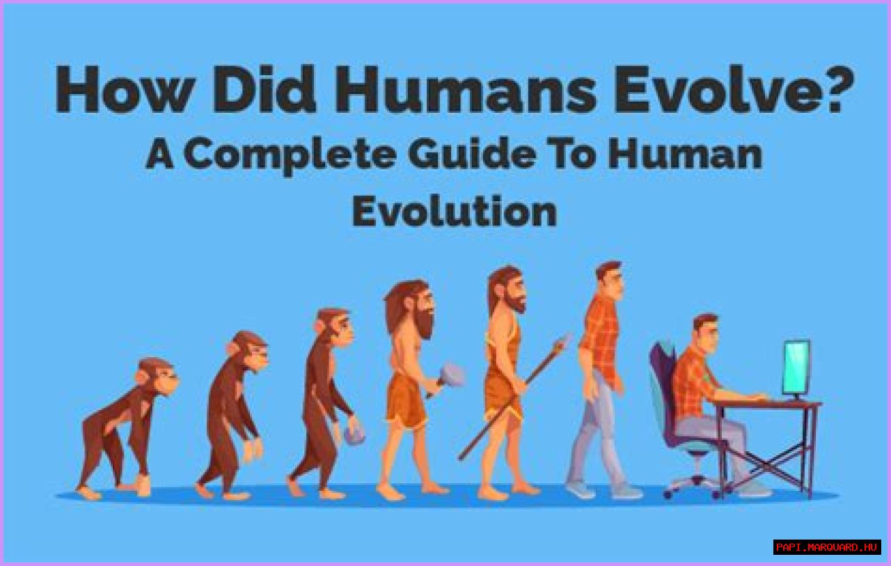 Your Guide To Evolving News Stories